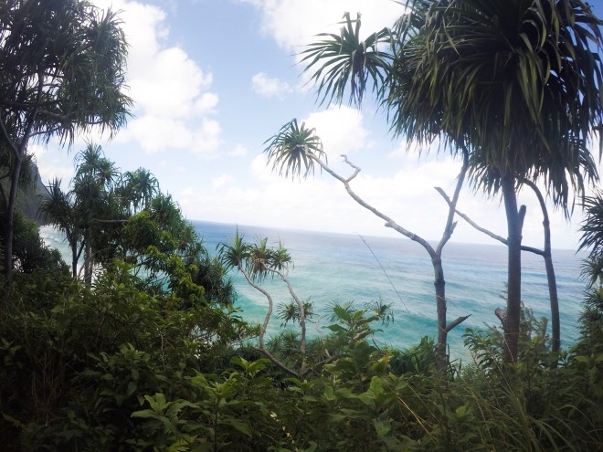 past weeds into beauty .JPG